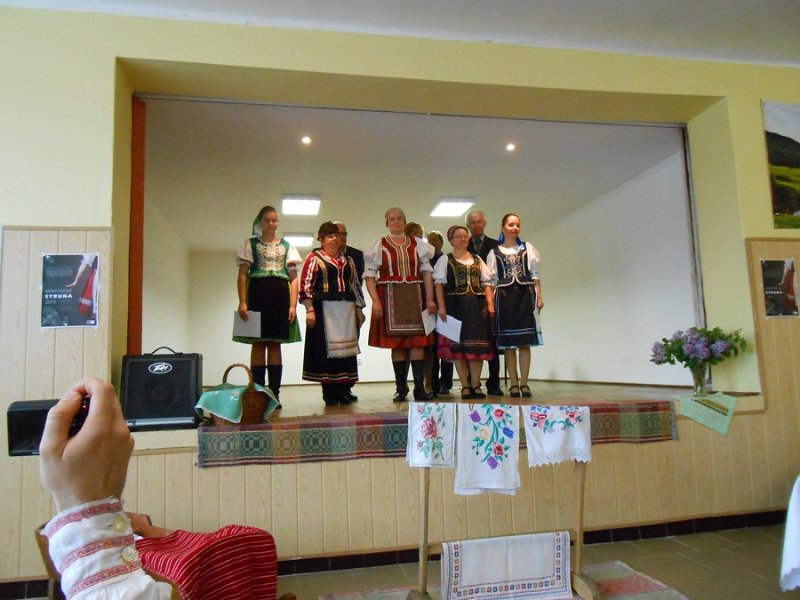 Makovicka struna  8.JPG